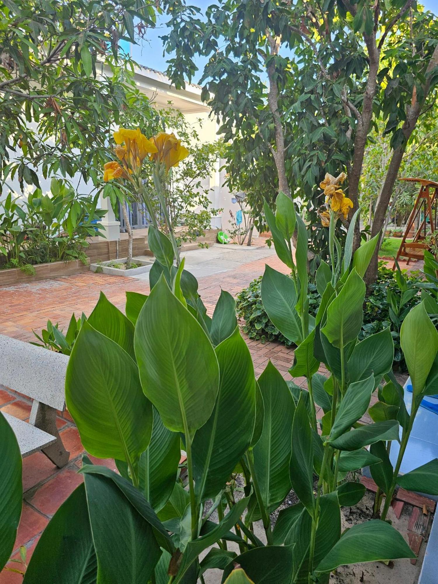 Cay Phuong Guesthouse Mũi Né Exterior foto